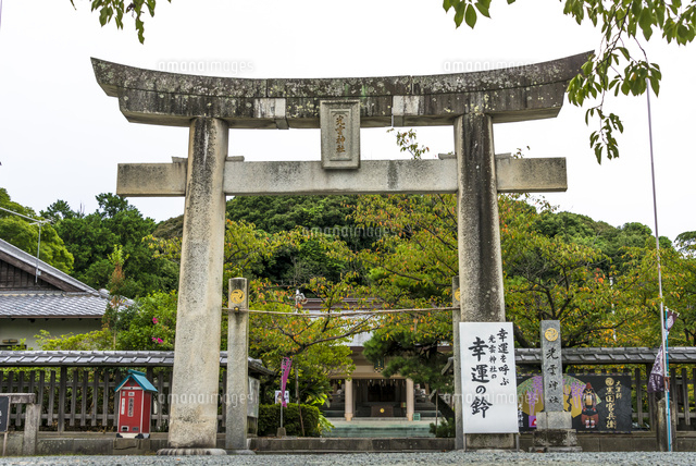 光雲神社の鳥居
(c)Yutaka Isayama/a.collectionRF
