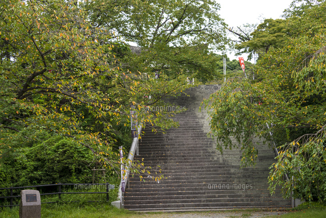 光雲神社への階段
(c)Yutaka Isayama/a.collectionRF