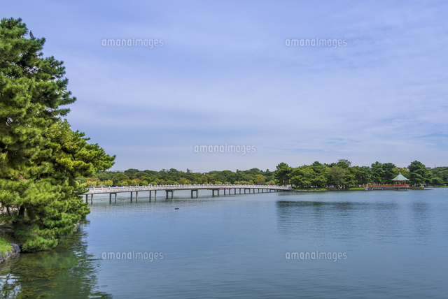 大濠公園(観月橋・浮見堂)
(c)Yutaka Isayama/a.collectionRF