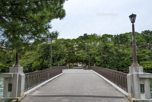 大濠公園(皐月橋)
(c)Yutaka Isayama/a.collectionRF