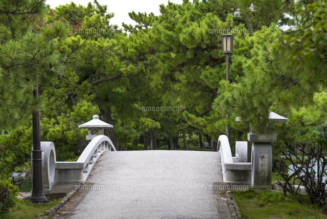 大濠公園(茶村橋)
(c)Yutaka Isayama/a.collectionRF