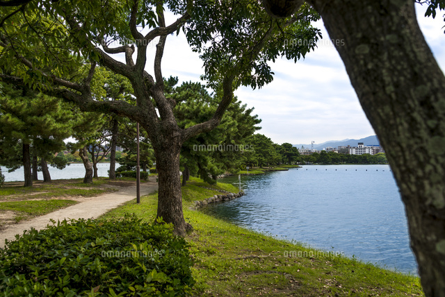 大濠公園(浮島)
(c)Yutaka Isayama/a.collectionRF