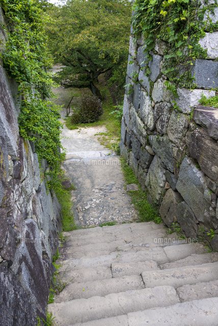 福岡城跡(大天守台跡への階段)
(c)Yutaka Isayama/a.collectionRF
