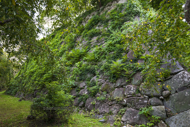 福岡城跡(城内の城壁)
(c)Yutaka Isayama/a.collectionRF