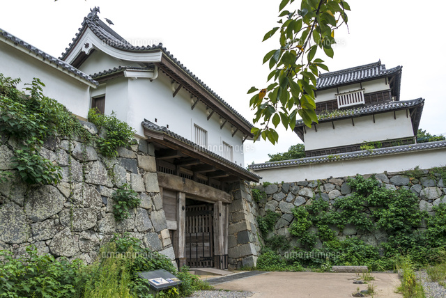 福岡城跡(下之橋御門と伝潮見櫓)
(c)Yutaka Isayama/a.collectionRF