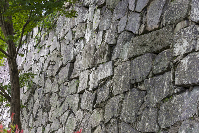 福岡城跡の城壁(松ノ木坂門近く)
(c)Yutaka Isayama/a.collectionRF