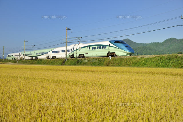 ゆうれいのイラスト ゆるくてかわいい無料イラスト素材屋「ぴよたそ」