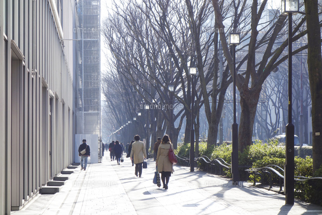 朝の表参道
(c)Keiji Kaneda/a.collectionRF