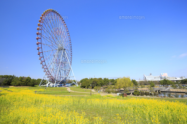 葛西臨海公園
(c)Koutaro Makioka/a.collectionRF