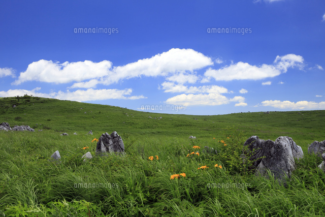 7月の四国カルスト 四国の夏景色
(c)FUMIO YOSHIDA/a.collectionRF