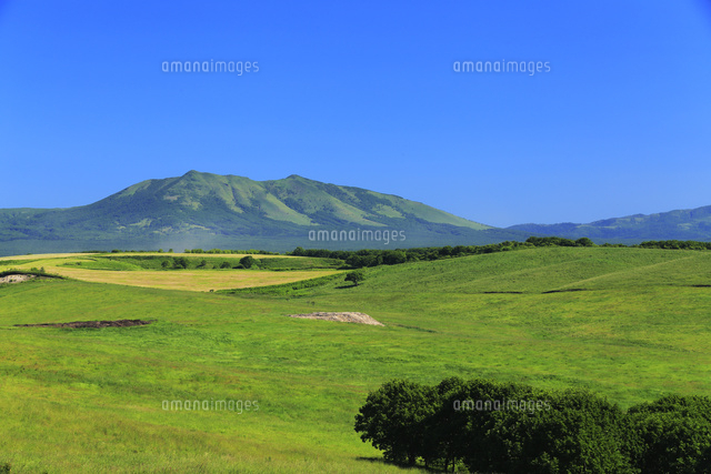 7月,北海道根釧台地の牧場風景
(c)FUMIO YOSHIDA/a.collectionRF
