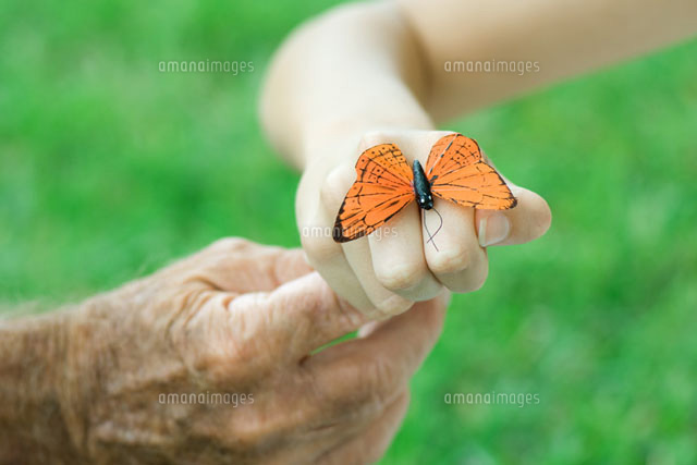 Child with butterfly on hand
(c)Odilon Dimier/Photo Alto