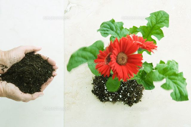 Cupped hands holding soil
(c)Sandro Di Carlo Darsa/Photo Alto