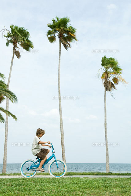Boy riding bicycle beside palm trees
(c)Eric Audras/Photo Alto