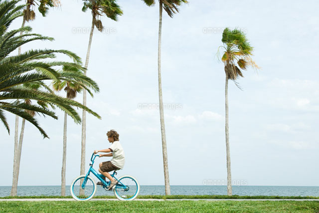 Boy riding bicycle beside palm trees
(c)Eric Audras/Photo Alto