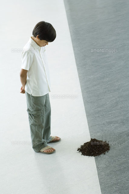Boy staring down at pile of soil
(c)Milena Boniek/Photo Alto