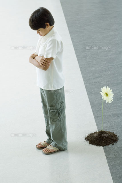 Boy standing with back turned to flower
(c)Milena Boniek/Photo Alto