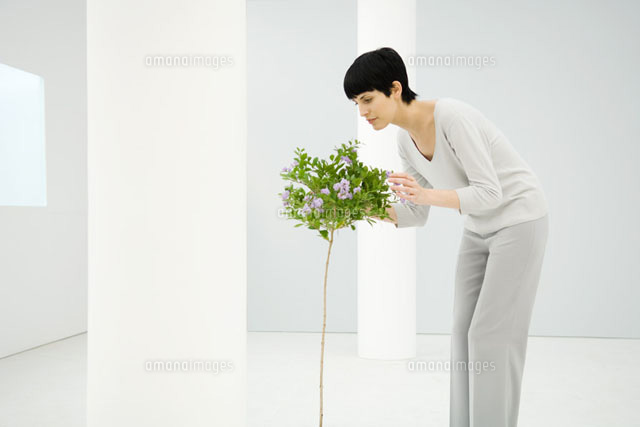 Woman indoors, smelling flowering tree
(c)Eric Audras/Photo Alto