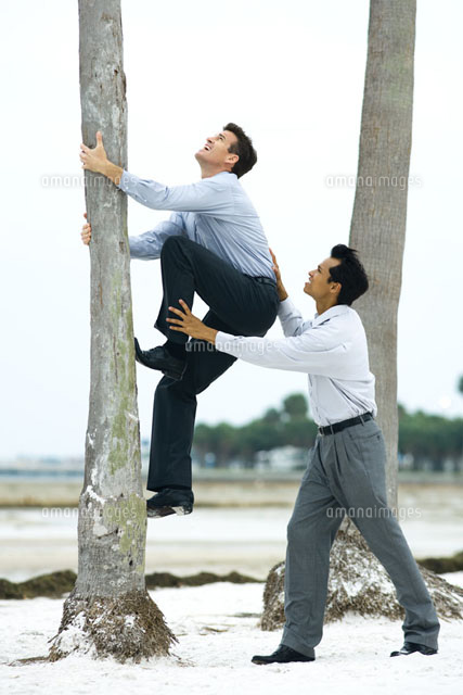 Businessman helping associate climb tree
(c)Laurence Mouton/Photo Alto