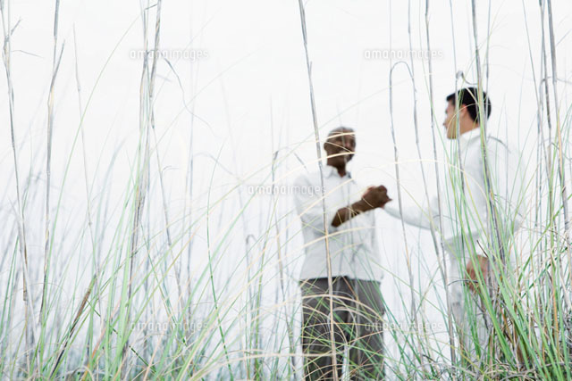 Two men shaking hands outdoors
(c)Laurence Mouton/Photo Alto
