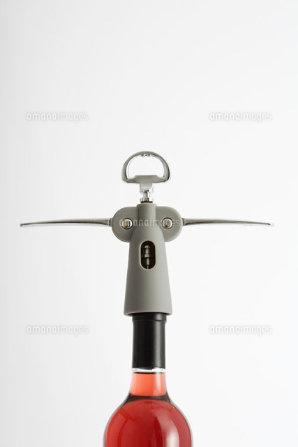 Corkscrew in wine bottle, close-up
(c)Laurence Mouton/PhotoAlto