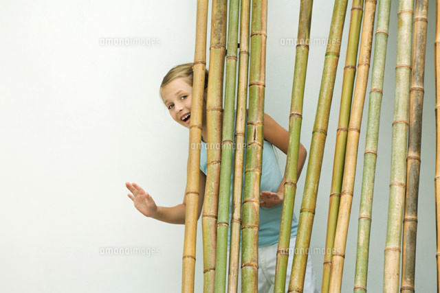 Girl standing behind bamboo, smiling and waving at camera
(c)Odilon Dimier/PhotoAlto
