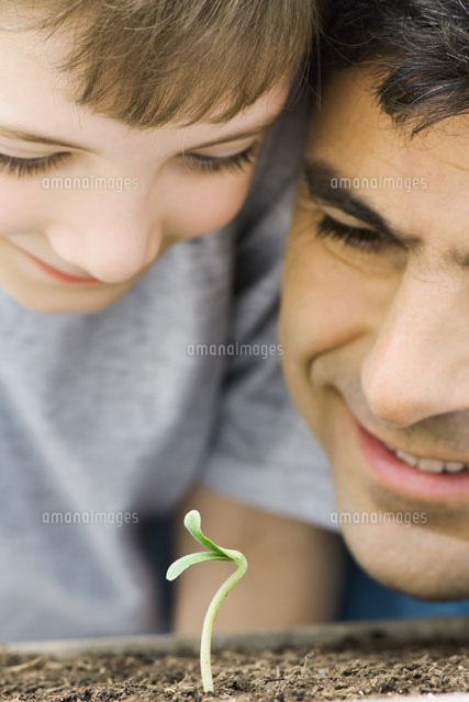 Father and son looking at plant seedling together, close-up
(c)Odilon Dimier/PhotoAlto
