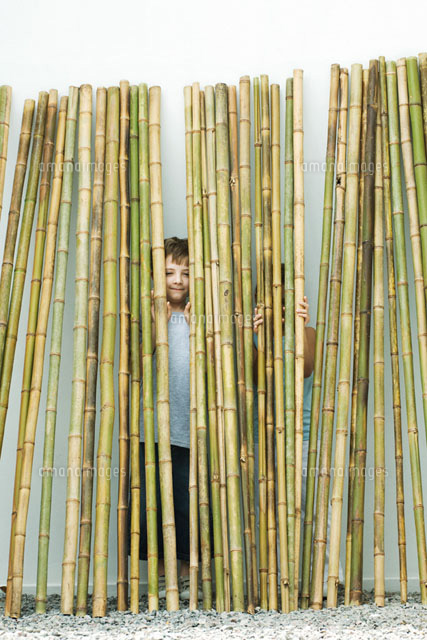 Brother and sister standing behind bamboo
(c)Odilon Dimier/PhotoAlto