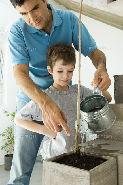 Father and son watering plant together
(c)Odilon Dimier/PhotoAlto