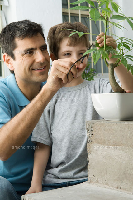 Father and son pruning plant together, smiling
(c)Odilon Dimier/PhotoAlto