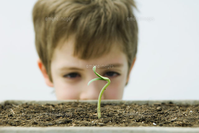 Boy looking at seedling, cropped view
(c)Odilon Dimier/PhotoAlto