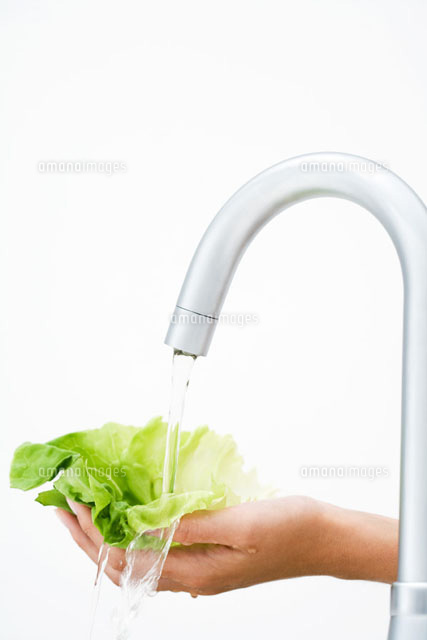 Woman rinsing lettuce under faucet,cropped view of hands
(c)Laurence Mouton/PhotoAlto