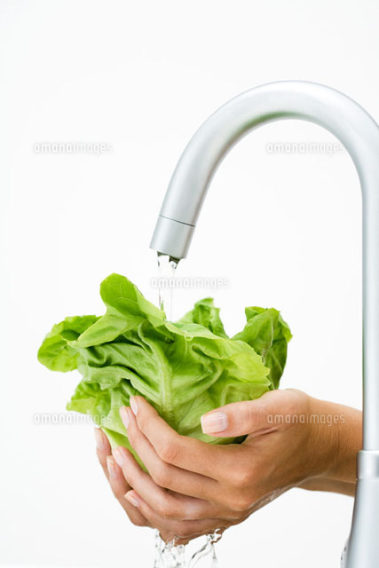 Woman rinsing lettuce under faucet,cropped view of hands
(c)Laurence Mouton/PhotoAlto