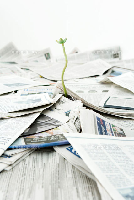Plant growing out of pile of newspapers
(c)Sigrid Olsson/PhotoAlto