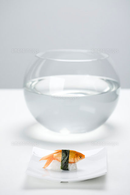 Goldfish prepared as sushi,placed on plate
(c)Ale Ventura/PhotoAlto