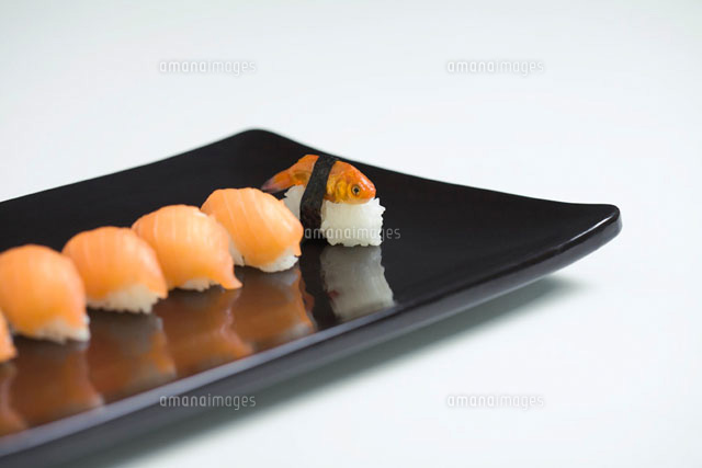 Goldfish prepared as nigiri sushi
(c)Ale Ventura/PhotoAlto