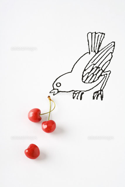 Ripe cherries and drawing of bird
(c)Laurence Mouton/PhotoAlto