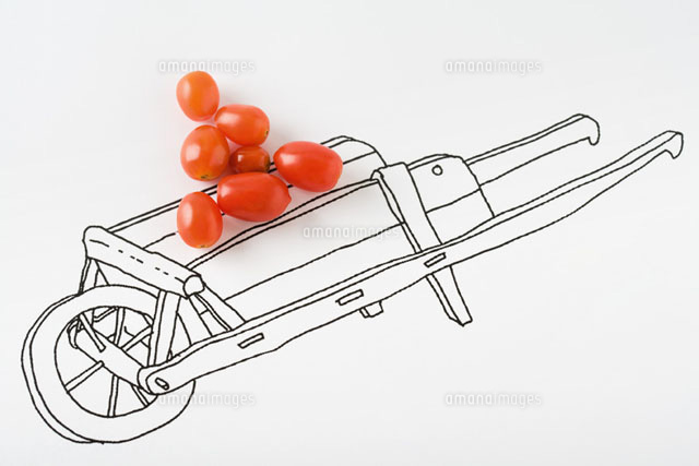Tomatoes on drawing of cart
(c)Laurence Mouton/PhotoAlto
