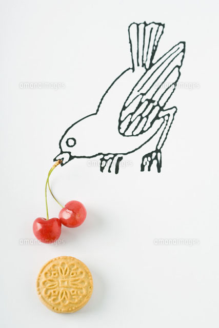Bird with cherries and cookie
(c)Laurence Mouton/PhotoAlto