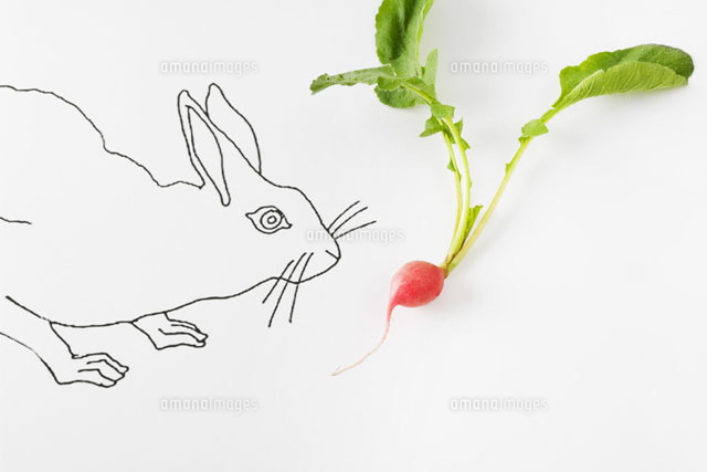 Drawing of rabbit smelling fresh radish
(c)Laurence Mouton/PhotoAlto