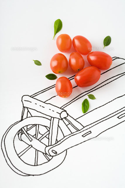 Roma tomatoes and basil leaves on drawing of cart
(c)Laurence Mouton/PhotoAlto