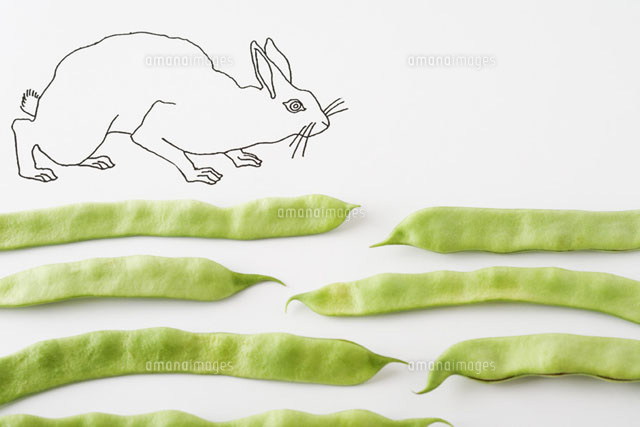 Rabbit walking on fresh pea pods
(c)Laurence Mouton/PhotoAlto