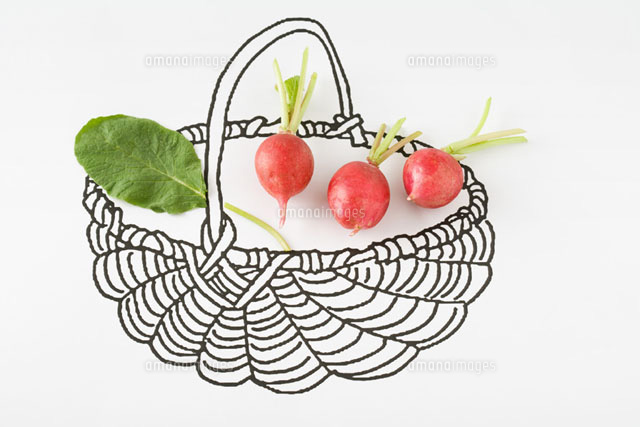 Fresh radishes in drawing of basket
(c)Laurence Mouton/PhotoAlto