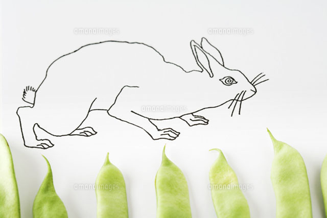Drawing of rabbit walking on fresh pea pods
(c)Laurence Mouton/PhotoAlto