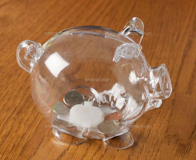 Coins in Piggy Bank
(c)clover/a.collectionRF