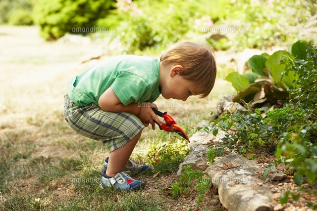 Boy Gardening, Domaine de l'Ardagnole, Fajac-en-Val, Langued
(c)Radius Images