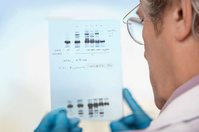 Scientist looking at DNA test results indoors
(c)moodboard
