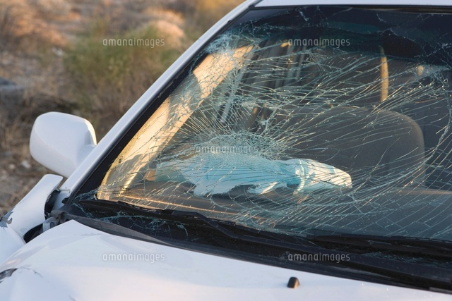 Smashed car windshield
(c)moodboard