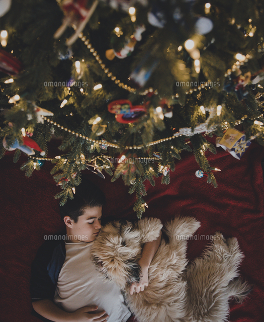 Overhead view of boy with dog lying by Christmas tree at home
(c)Cavan Images