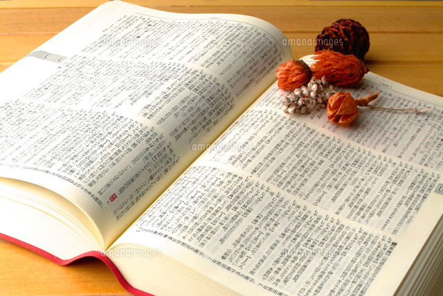 辞書
(c)HIROSHI TAKEZAWA/a.collectionRF